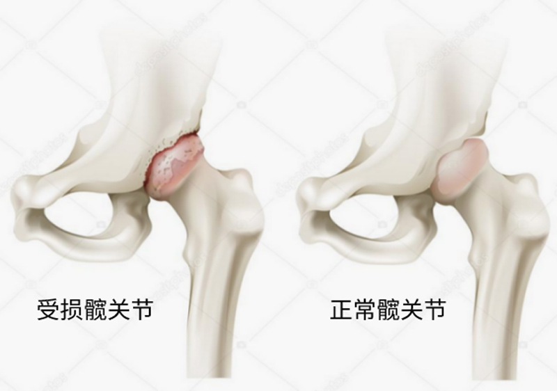 ed823fe623794bb7ae5071b60b0197e4