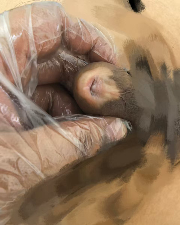 微信图片_20260211155535_2330_114