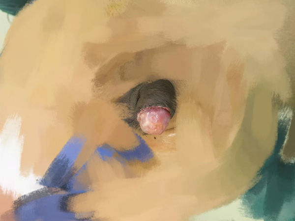 微信图片_20260211155552_2333_114