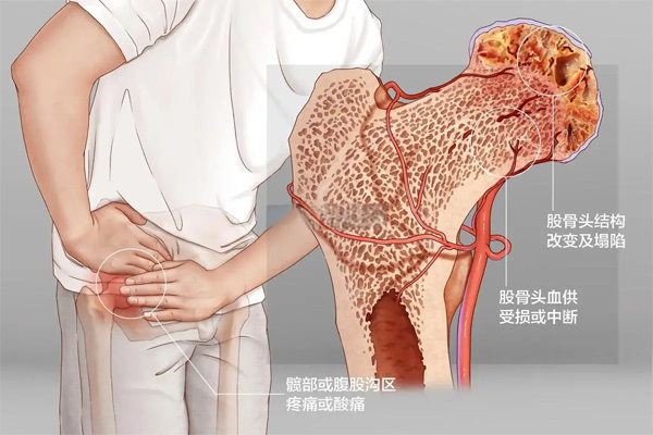微信图片_2026-06-06_101526_550